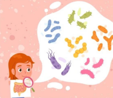 Healthy gut and immune balance illustration supporting natural Candida management